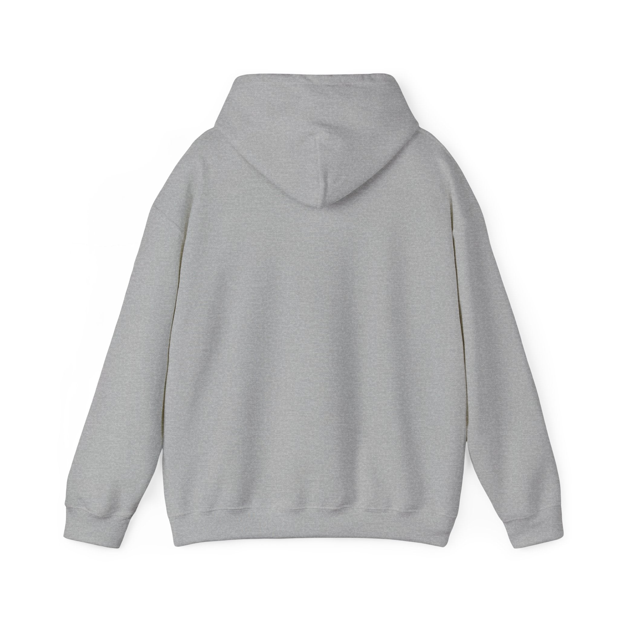Neurodivergent Pride Hoodie | autism acceptance, autistic pride
