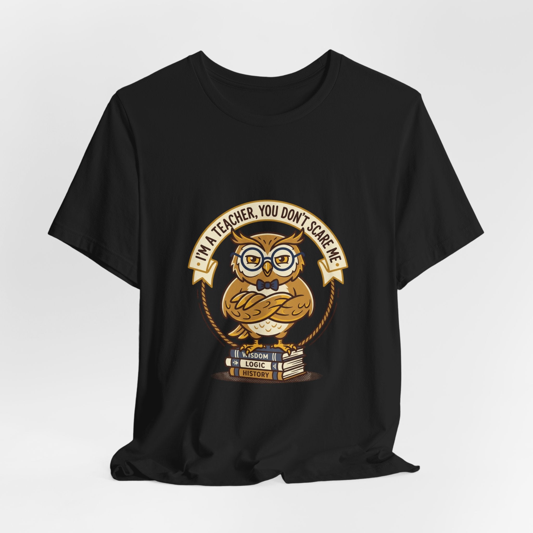 I’m a Teacher You Don’t Scare Me Tee | Teacher Appreciation, Teacher Life