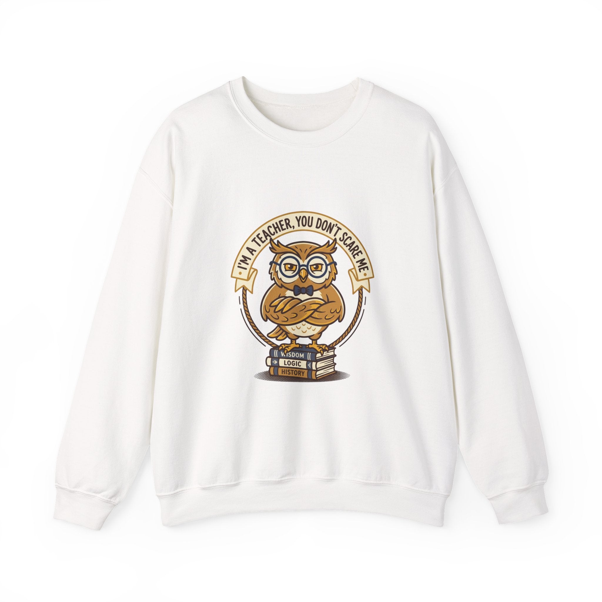 I'M A TEACHER You Don't Scare Me Sweatshirt | Teacher Appreciation, Teacher Life