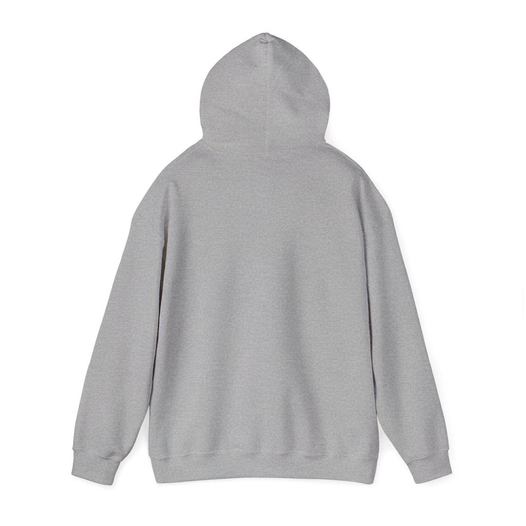 Neurodivergent Pride Hoodie | autism acceptance, autistic pride