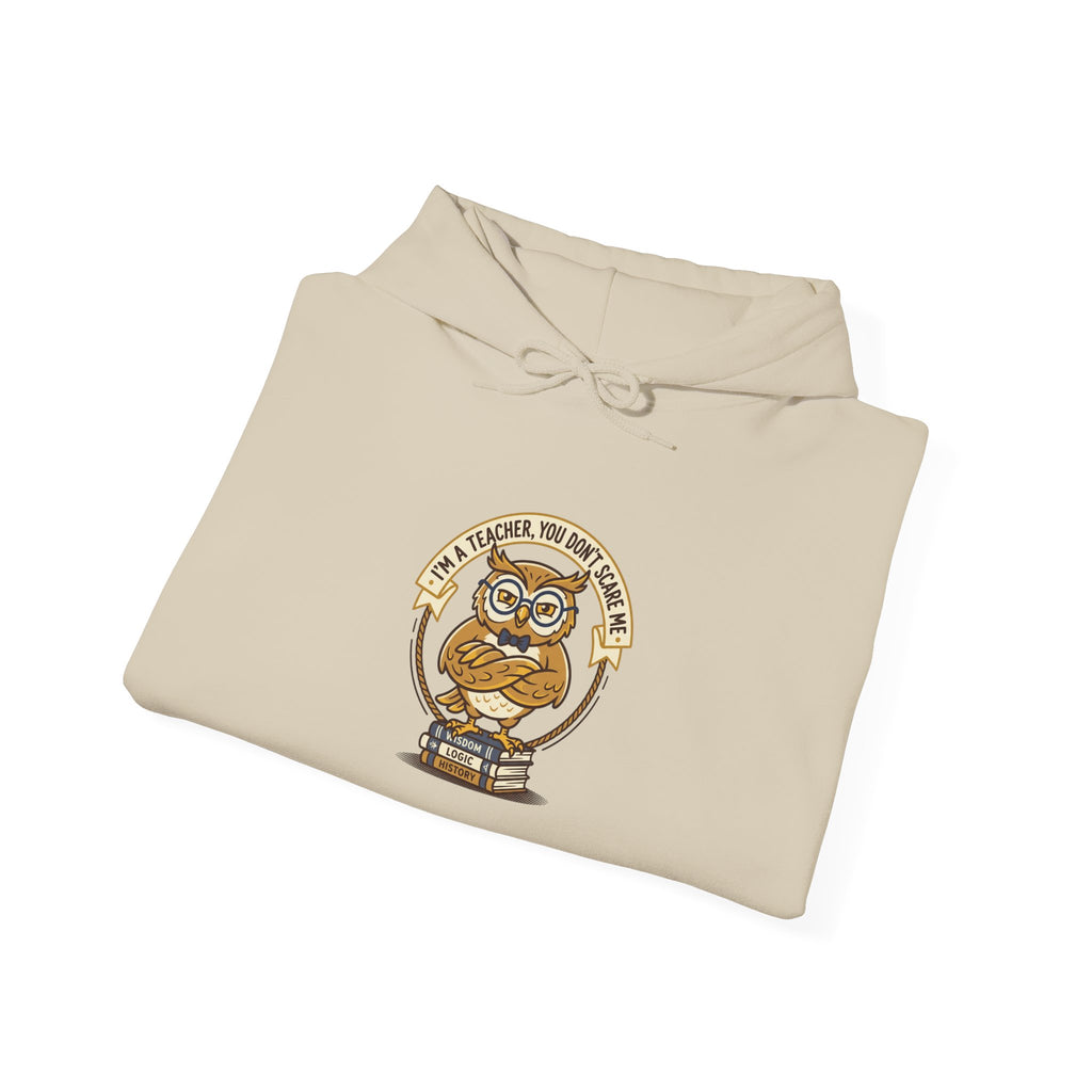 Smart Owl Teacher Hoodie | Teacher Appreciation Gifts, Teacher Life