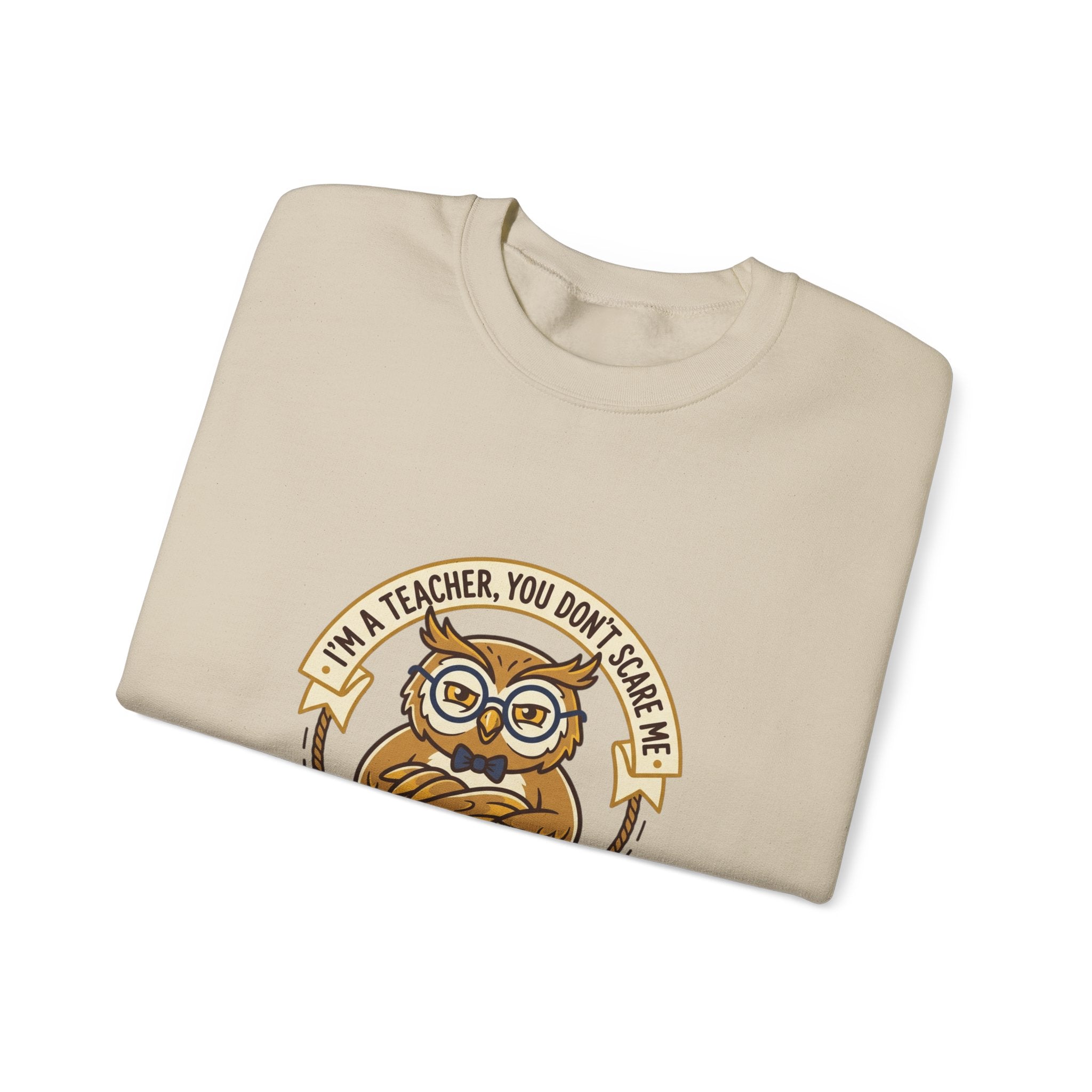 I'M A TEACHER You Don't Scare Me Sweatshirt | Teacher Appreciation, Teacher Life