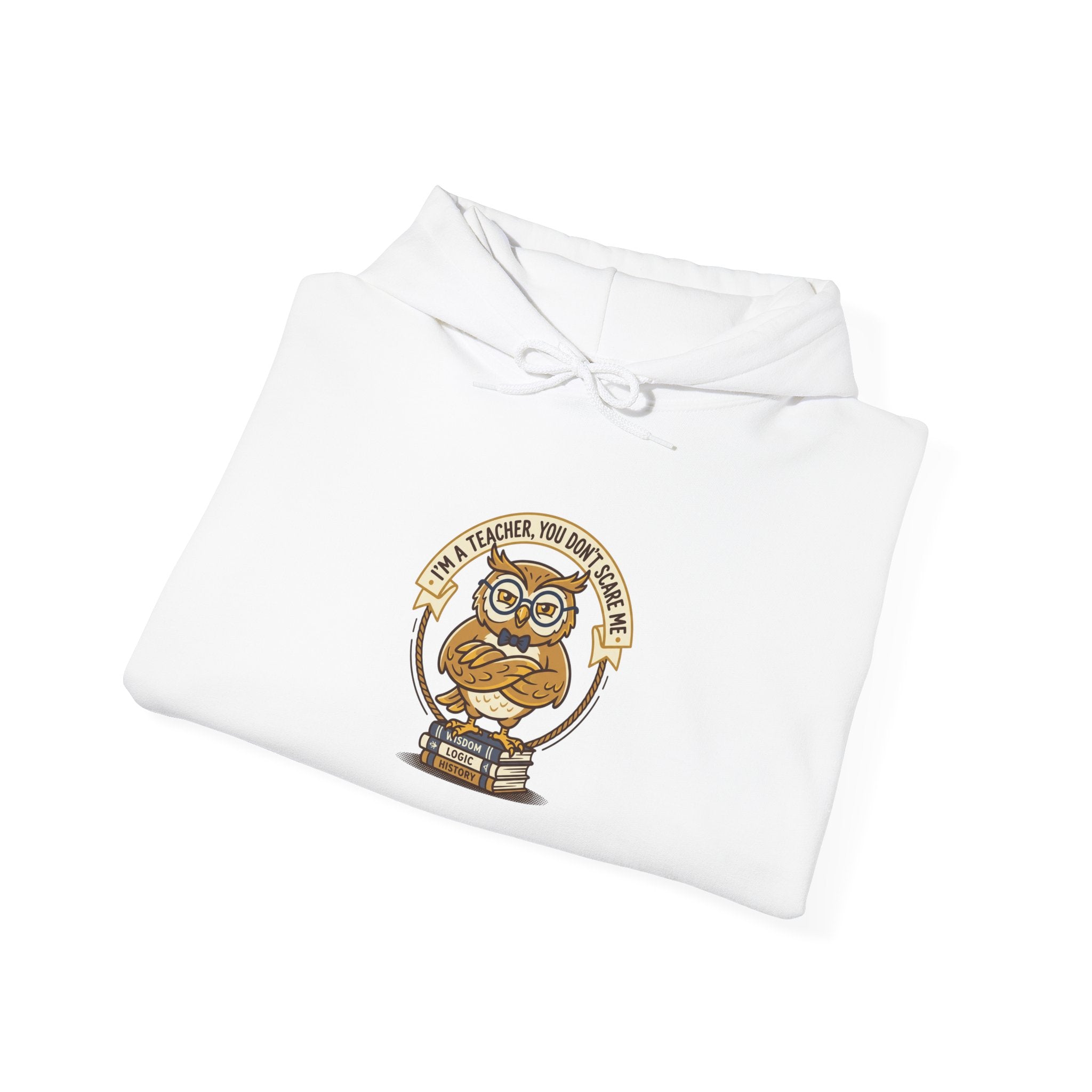 Smart Owl Teacher Hoodie | Teacher Appreciation Gifts, Teacher Life