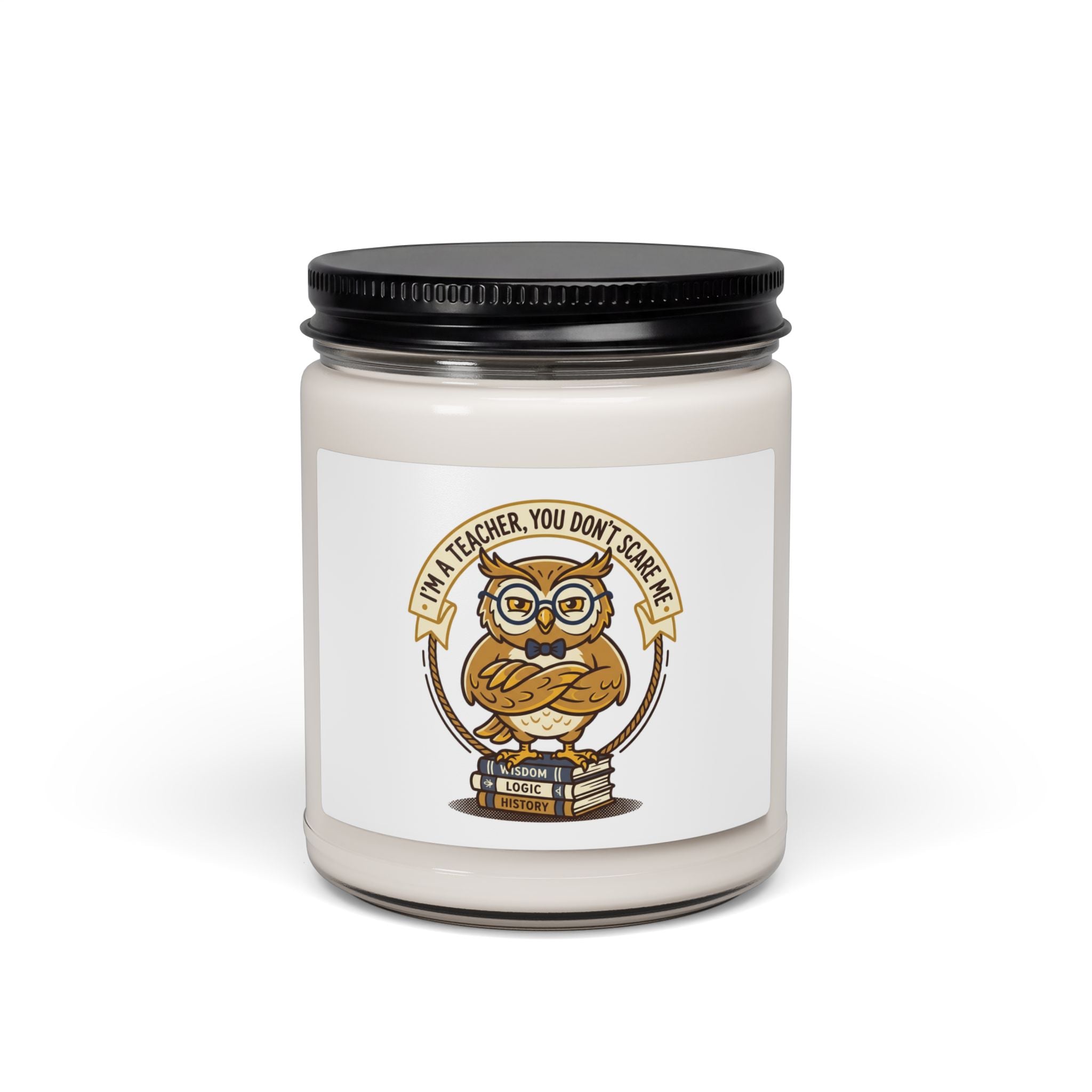 Teacher You Don’t Scare Me Candle, Soy Candle | Teacher Appreciation, Teacher Life