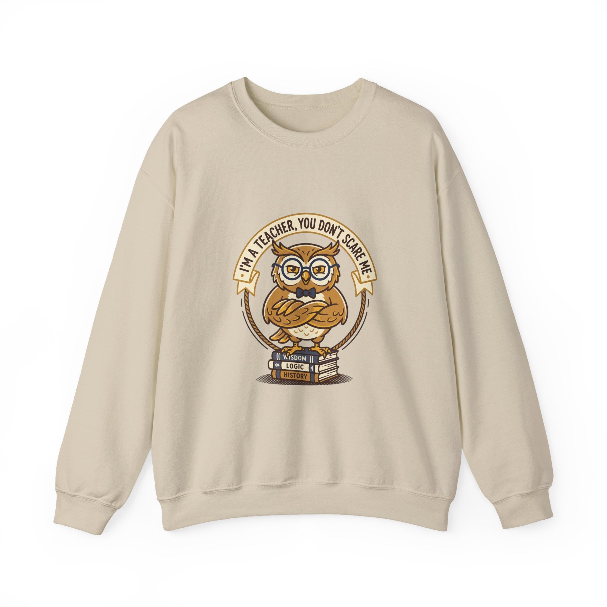 I'M A TEACHER You Don't Scare Me Sweatshirt | Teacher Appreciation, Teacher Life