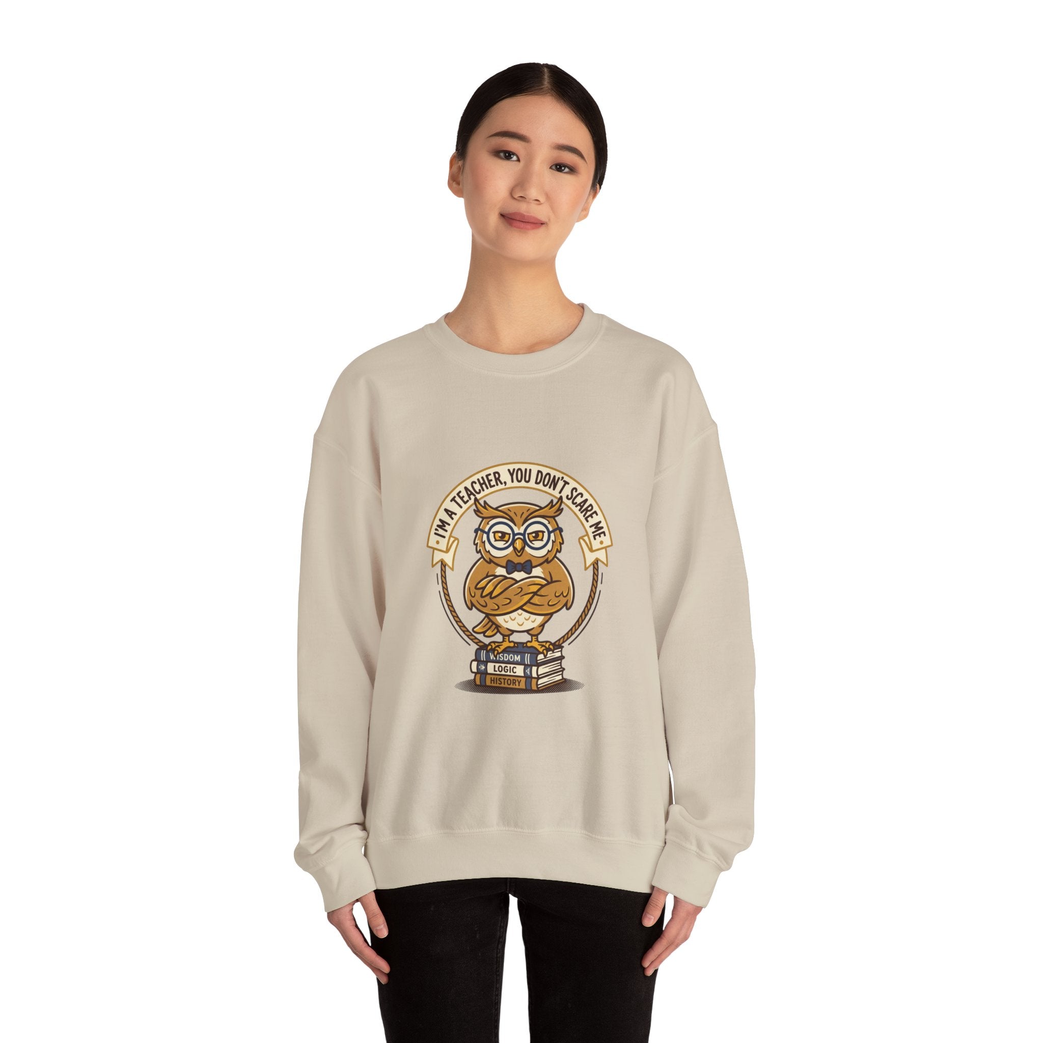 I'M A TEACHER You Don't Scare Me Sweatshirt | Teacher Appreciation, Teacher Life