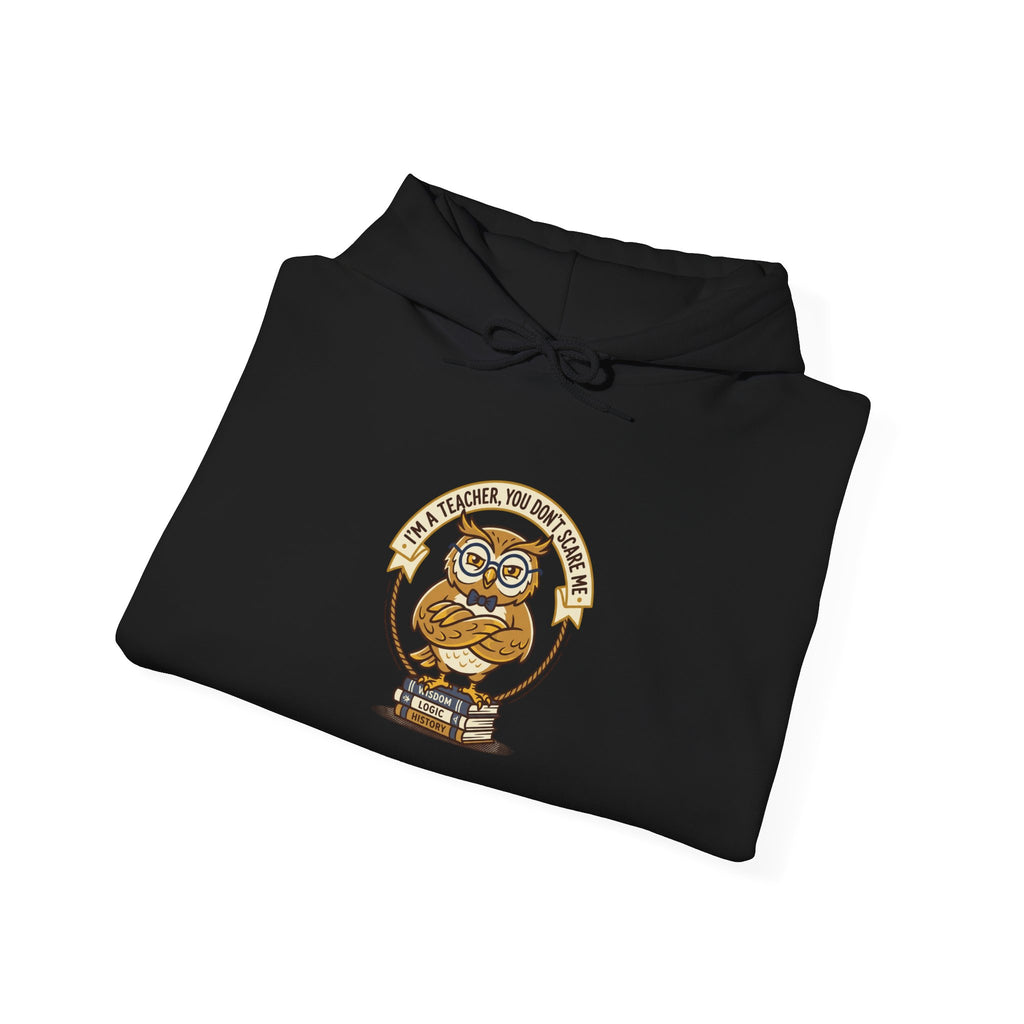 Smart Owl Teacher Hoodie | Teacher Appreciation Gifts, Teacher Life