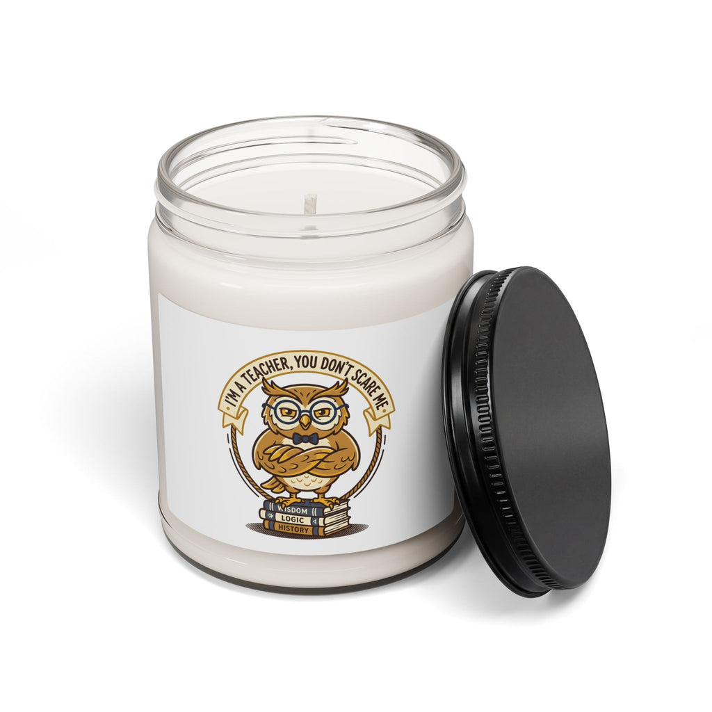 Teacher You Don’t Scare Me Candle, Soy Candle | Teacher Appreciation, Teacher Life